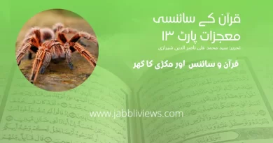 قرآن کے سائنسی معجزات پارٹ 13، قرآن کا مکڑی کے جالے کے متعلق بیان اور سائنسی وضاحت